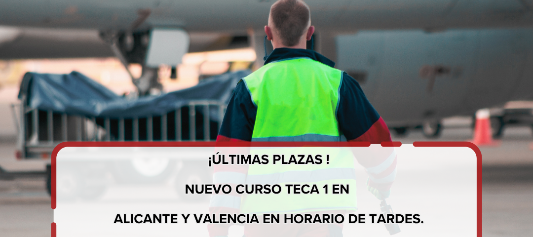 Nuevo curso TECA 1 en Alicante y Valencia en horario de tardes. ¡Últimas plazas para el segundo cuatrimestre de 2026!