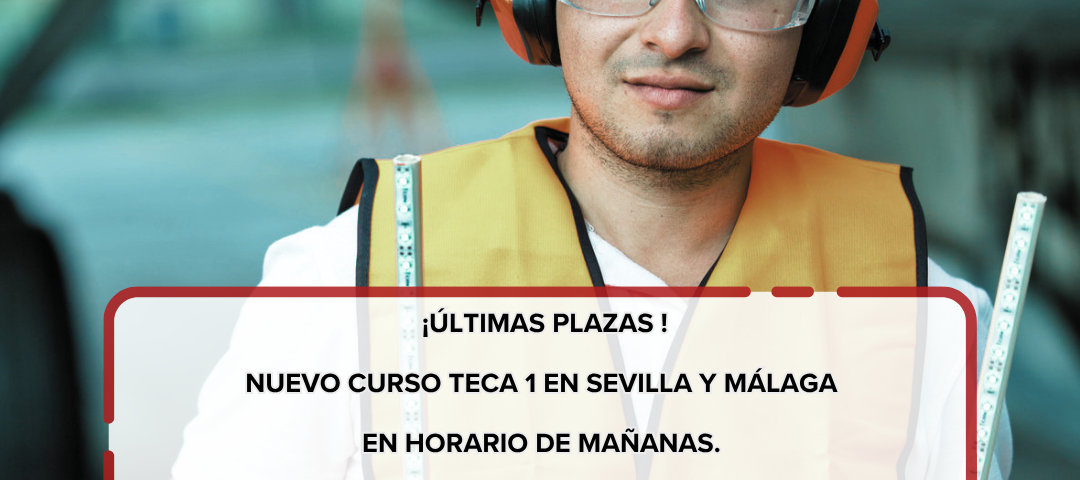 Nuevo curso TECA 1 en Sevilla y Málaga en horario de mañanas. ¡Últimas plazas para el segundo cuatrimestre de 2026!