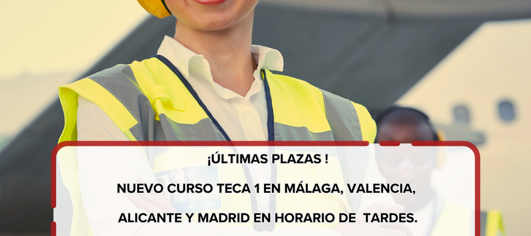 Nuevo curso TECA 1 en Málaga, Valencia, Alicante y Madrid en horario de tardes ultimas plazas para el tercer cuatrimestre de 2026